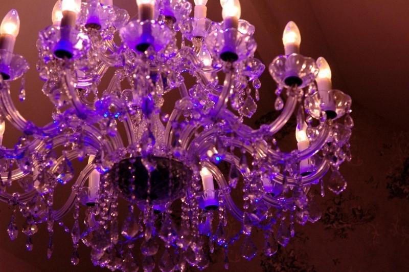 B&B Bon-Bon 'Nuit' Turnhout Exteriör bild