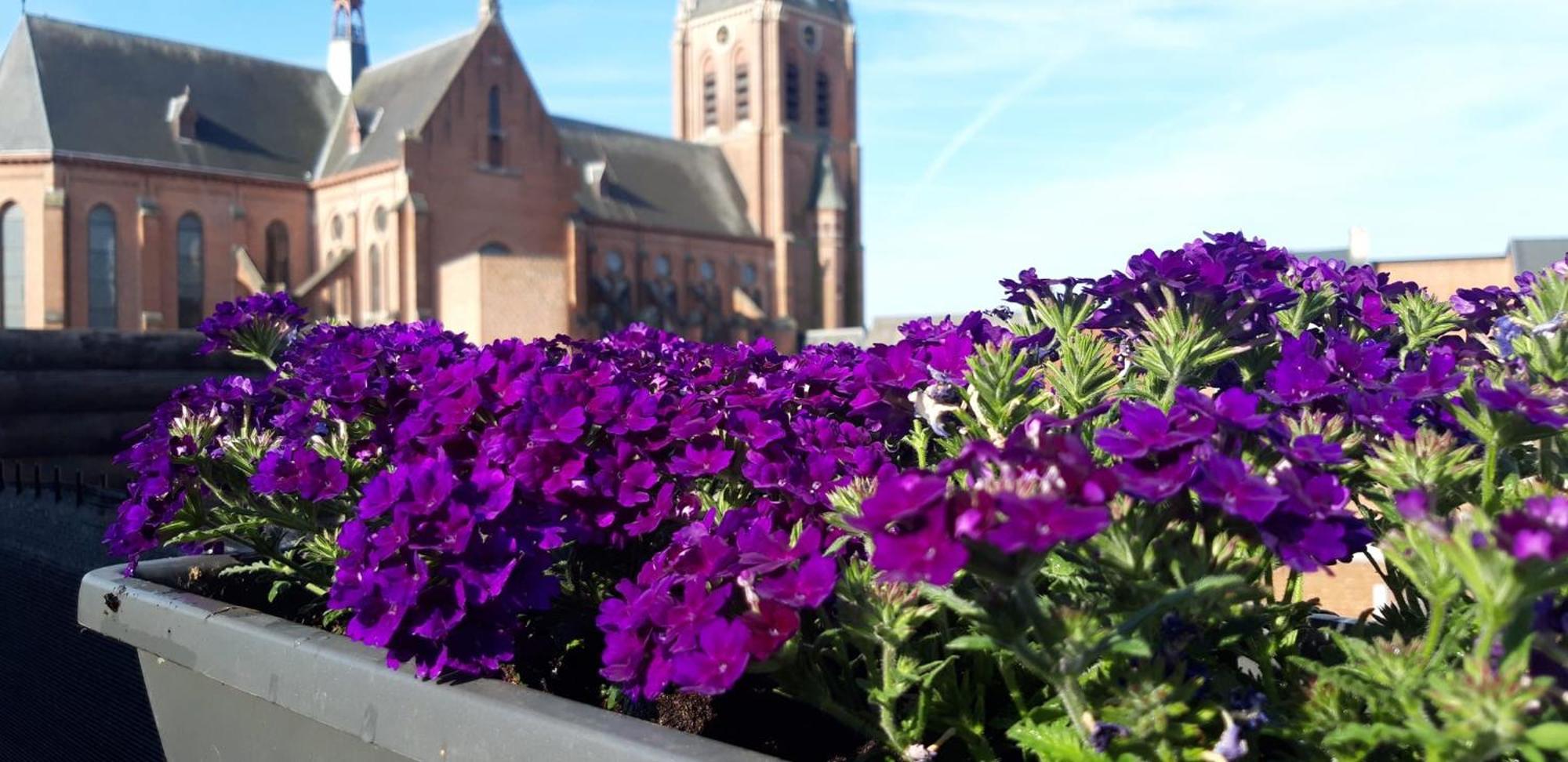 B&B Bon-Bon 'Nuit' Turnhout Exteriör bild
